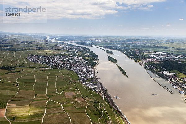 Deutschland  Blick auf Rüdesheim und Kempten am Rhein  Luftaufnahme