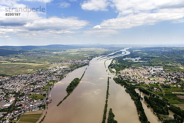 Deutschland  Rheinhochwasser bei Ingelheim und Oestrich  Luftaufnahme