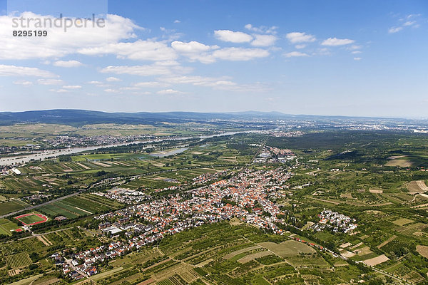 Deutschland  Rheinland-Pfalz  Blick auf Heidesheim umgeben von Feldern  Luftbild