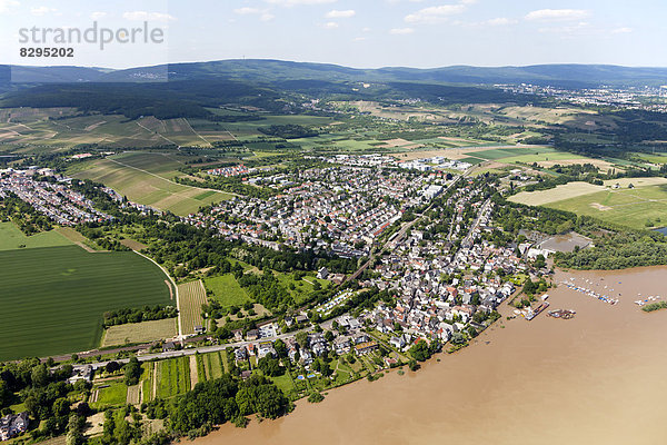 Deutschland  Hessen  Rheinhochwasser bei Wiesbaden  Luftbild