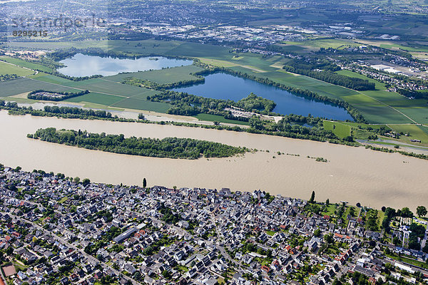 Deutschland  Rheinland-Pfalz  Rheinhochwasser bei Urmitz  Luftbild