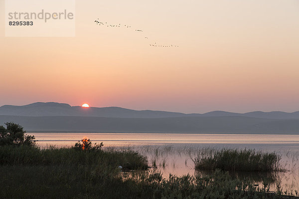 Kroatien  Dalmatien  Sonnenaufgang bei Vransko jezero