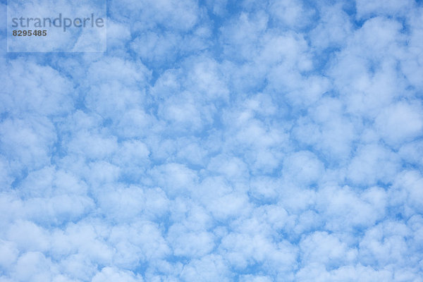 Germany  Baden-Wuerttemberg  blue sky with cirrocumulus clouds