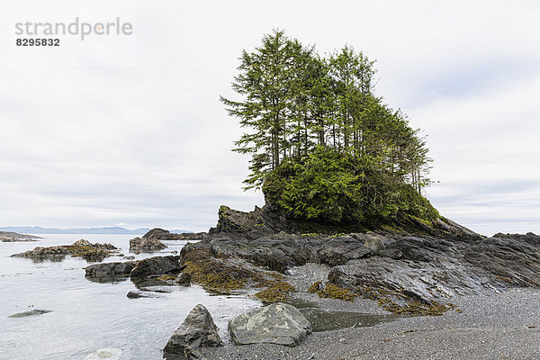 Canada  British Columbia  Vancouver Island  Botanical Beach Park