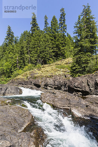 Kanada  Britisch-Kolumbien  Vancouver Island  Elk Falls Provincial Park