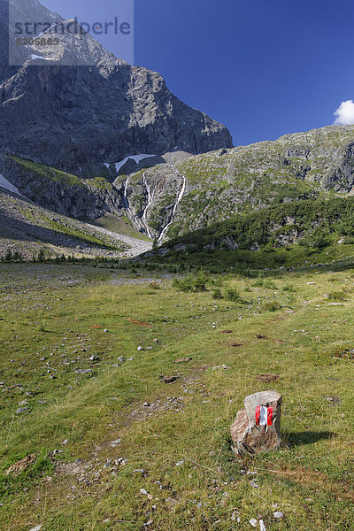 Österreich  Kärnten  Obere Tauern  Niedermoor bei Gradenmoos  Blesse