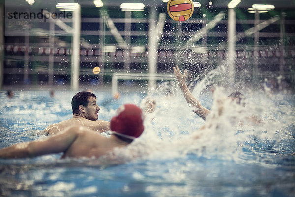 Water polo players in water