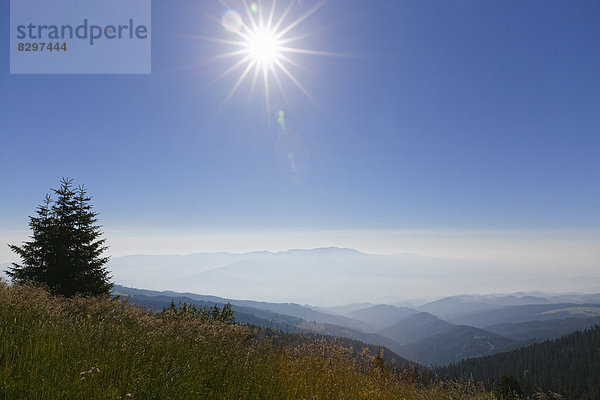 Österreich  Kärnten  Saualpe  Blick auf Koralpe