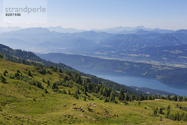 Österreich  Kärnten  Nockberge  Millstätter Alpe  Blick auf den Millstätter See