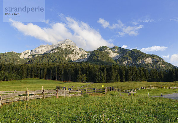 Österreich  Kärnten  Karnische Alpen  Bergplenge