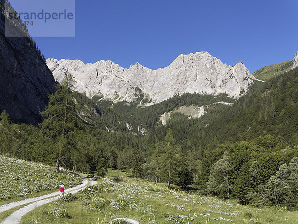 Austria  Carinthia  Carnic Alps  Hiker at Biegengebirge