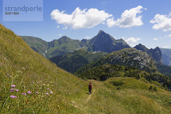 Italien  Friaul-Julisch Venetien  Karnische Alpen  Wanderer bei Kleiner Pal