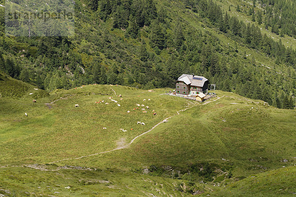 Österreich  Kärnten  Karnische Alpen  Hochweisssteinhaus