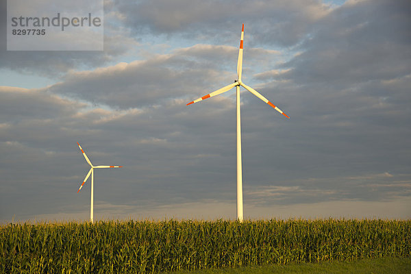 Germany  Baden-Wuerttemberg  wind farm Tomerdingen