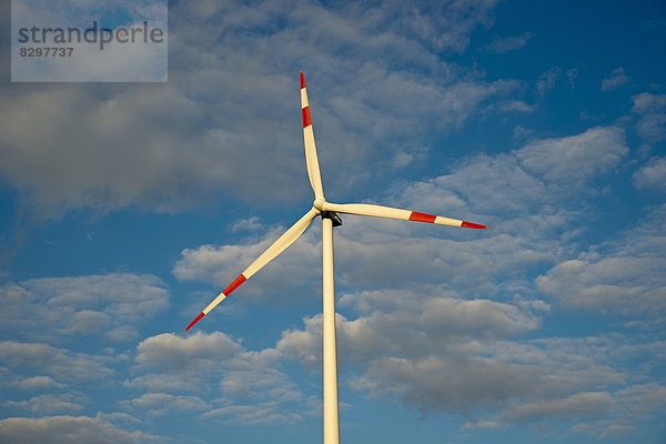 Deutschland  Baden-Württemberg  Windpark Tomerdingen