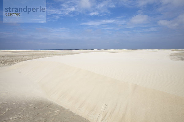 Germany  Lower Saxony  East Frisia  Borkum  Nordstrand  sand dunes