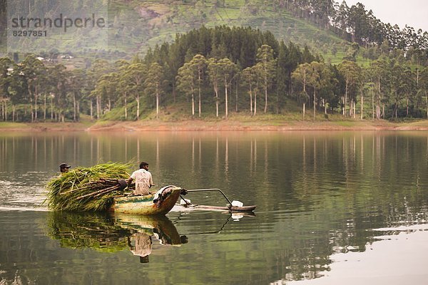 zwischen  inmitten  mitten  Landwirtin  Asien  Stausee  Sri Lanka