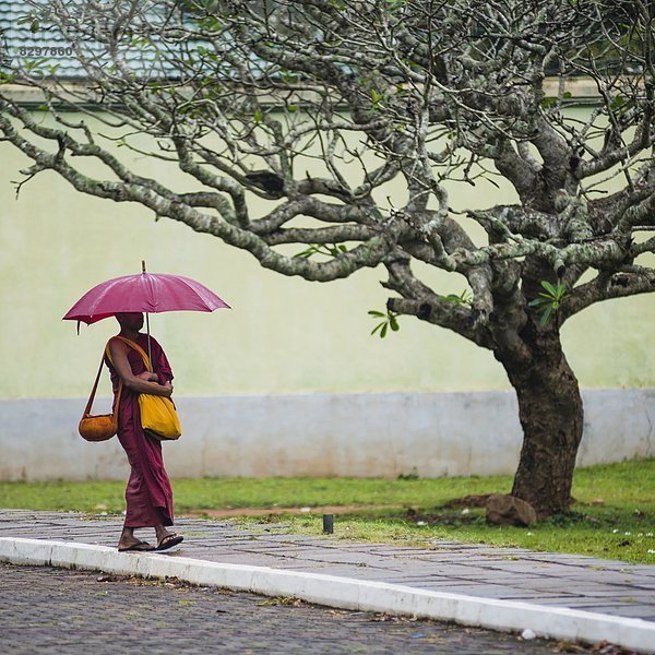 fünfstöckig  Buddhismus  groß  großes  großer  große  großen  UNESCO-Welterbe  Asien  Kloster  Mönch  Sri Lanka