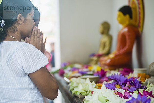 Frau  Gebet  fünfstöckig  Buddhismus  groß  großes  großer  große  großen  Anuradhapura  Asien  Kloster  Sri Lanka