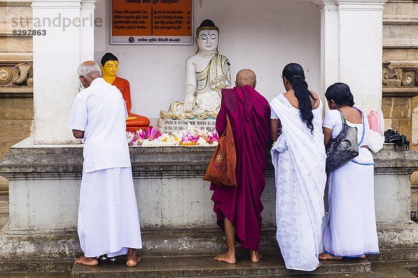 Mensch  Menschen  Gebet  fünfstöckig  Buddhismus  UNESCO-Welterbe  Anuradhapura  Asien  Sri Lanka