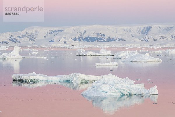 Sonnenuntergang  über  Eisberg  Antarktis  Meerenge