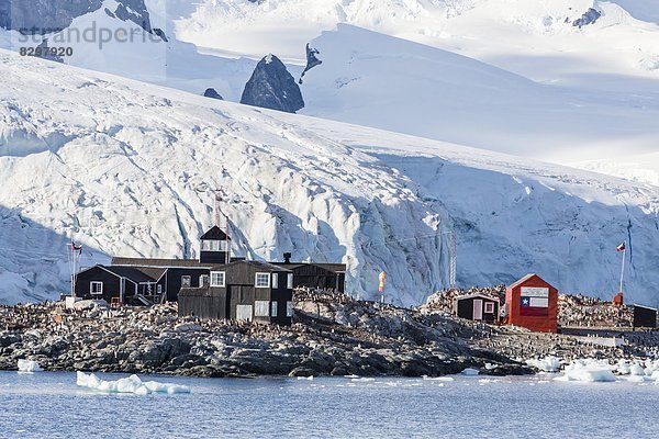 Seitenansicht  Chillipulver  Chilli  Antarktis  Halbinsel
