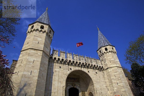 Truthuhn  Europa  UNESCO-Welterbe  Istanbul  Türkei