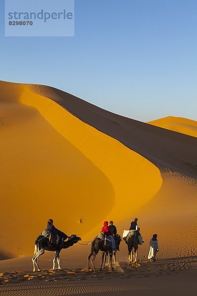 Nordafrika Afrika Merzouga Marokko