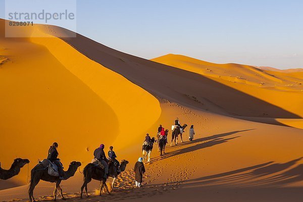 Nordafrika Afrika Merzouga Marokko