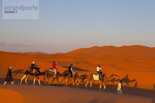 Nordafrika Afrika Merzouga Marokko