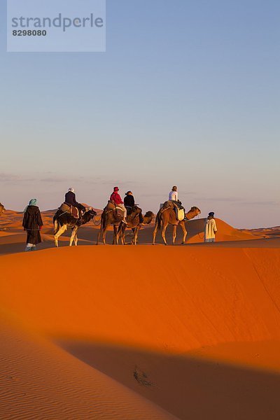 Nordafrika Afrika Merzouga Marokko