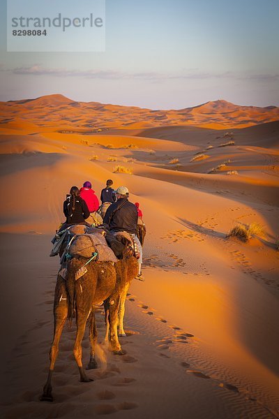 Nordafrika  Afrika  Merzouga  Marokko