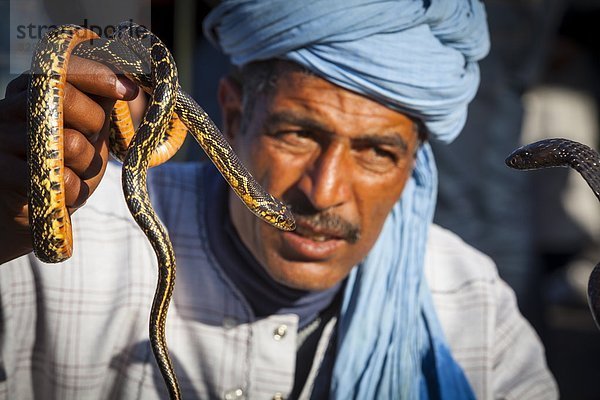 Nordafrika  Afrika  Marrakesch  Marokko  Schlangenbeschwörer