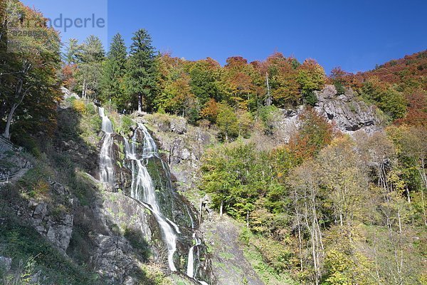 Europa  Schwarzwald  Deutschland  Todtnau