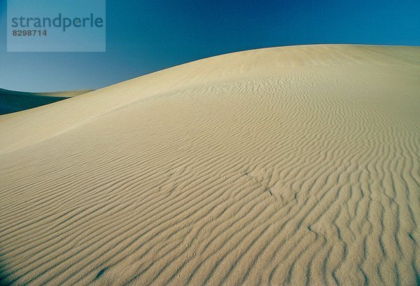 Wüste  Sand  Fußabdruck