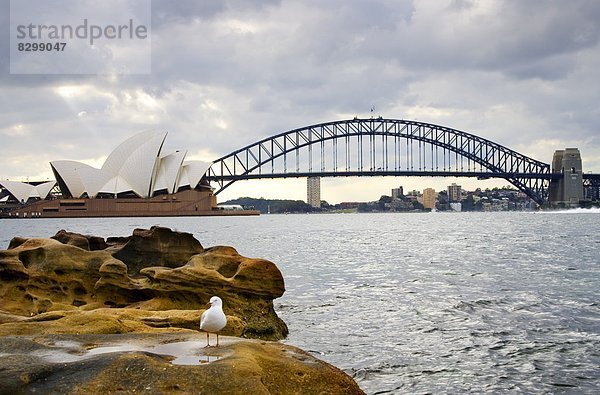 Hafen Opernhaus Oper Opern Brücke Australien Sydney