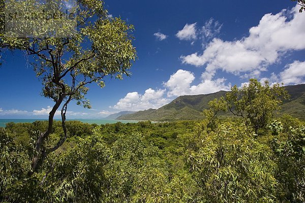 Strand  Meer  Lodge  Landhaus  Ansicht  Australien  Port Douglas