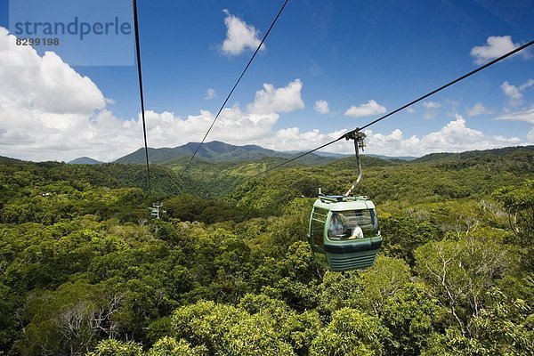 über Kabine Gondel Gondola Australien Queensland Regenwald