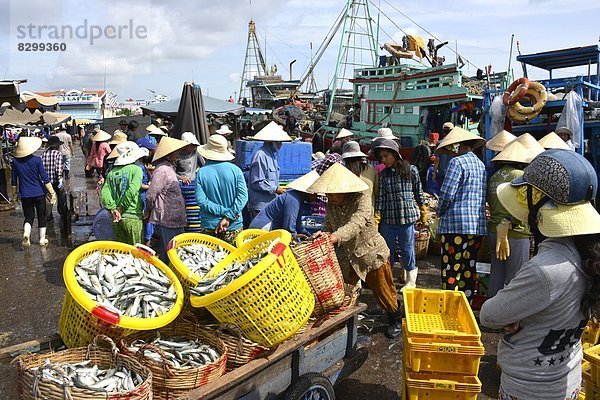 Südostasien  Vietnam  Asien  Markt