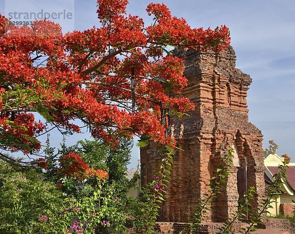 Südostasien  Vietnam  Asien