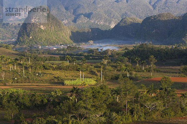 Westindische Inseln  Mittelamerika  UNESCO-Welterbe  Pinar Del Rio  Viñales  Kuba