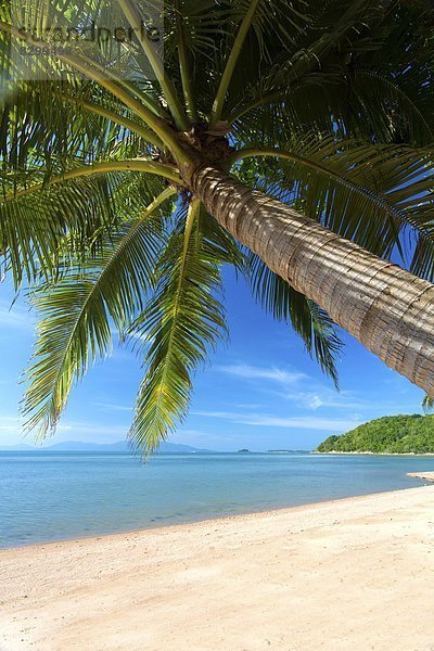 Südostasien  Asien  Koh Samui  Thailand