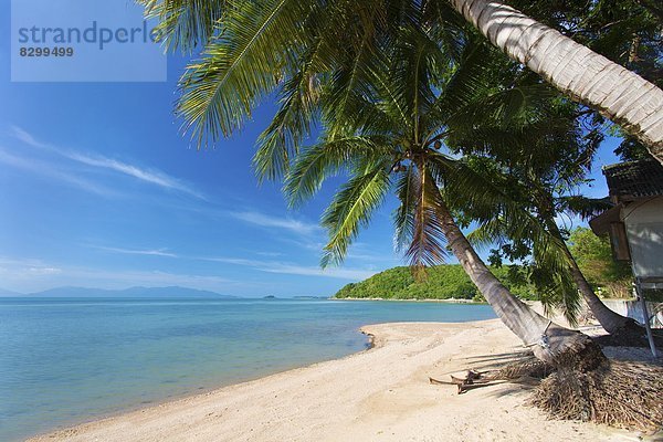 Südostasien  Asien  Koh Samui  Thailand