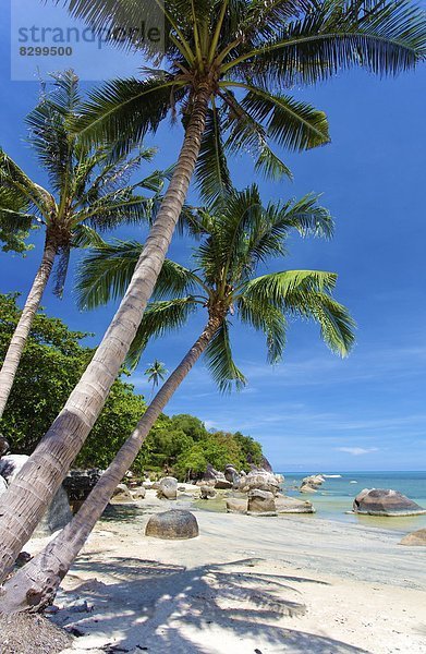 Südostasien  Asien  Koh Samui  Thailand