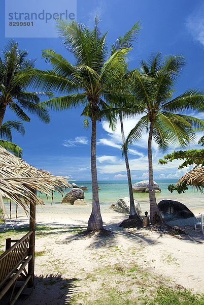 Südostasien  Asien  Koh Samui  Thailand