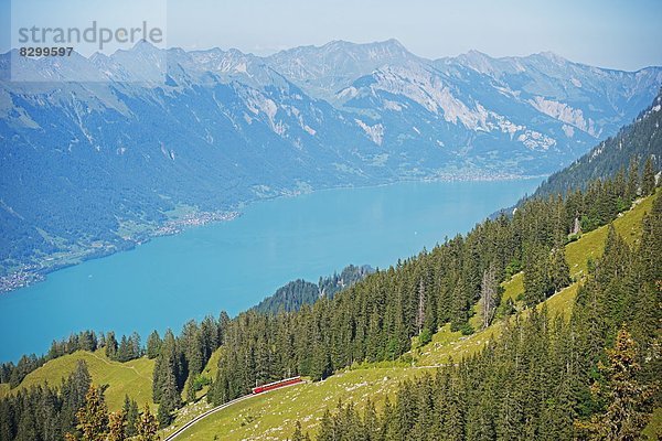Europa See Ansicht Westalpen Berner Oberland Interlaken Schweiz Schweizer Alpen