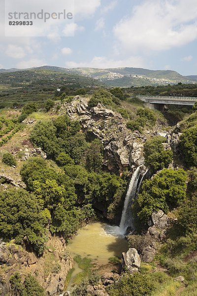 Naturschutzgebiet  Wasserfall  Naher Osten  Israel