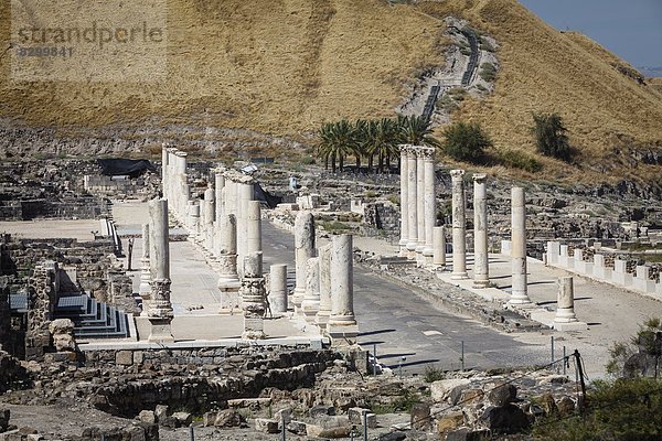 Großstadt  Ruine  Naher Osten  Israel  römisch