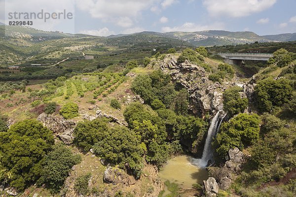 Naturschutzgebiet  Wasserfall  Naher Osten  Israel