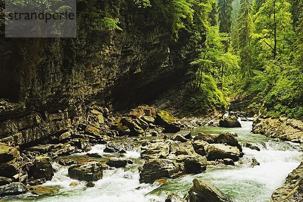 Europa  Allgäu  Bayern  Deutschland